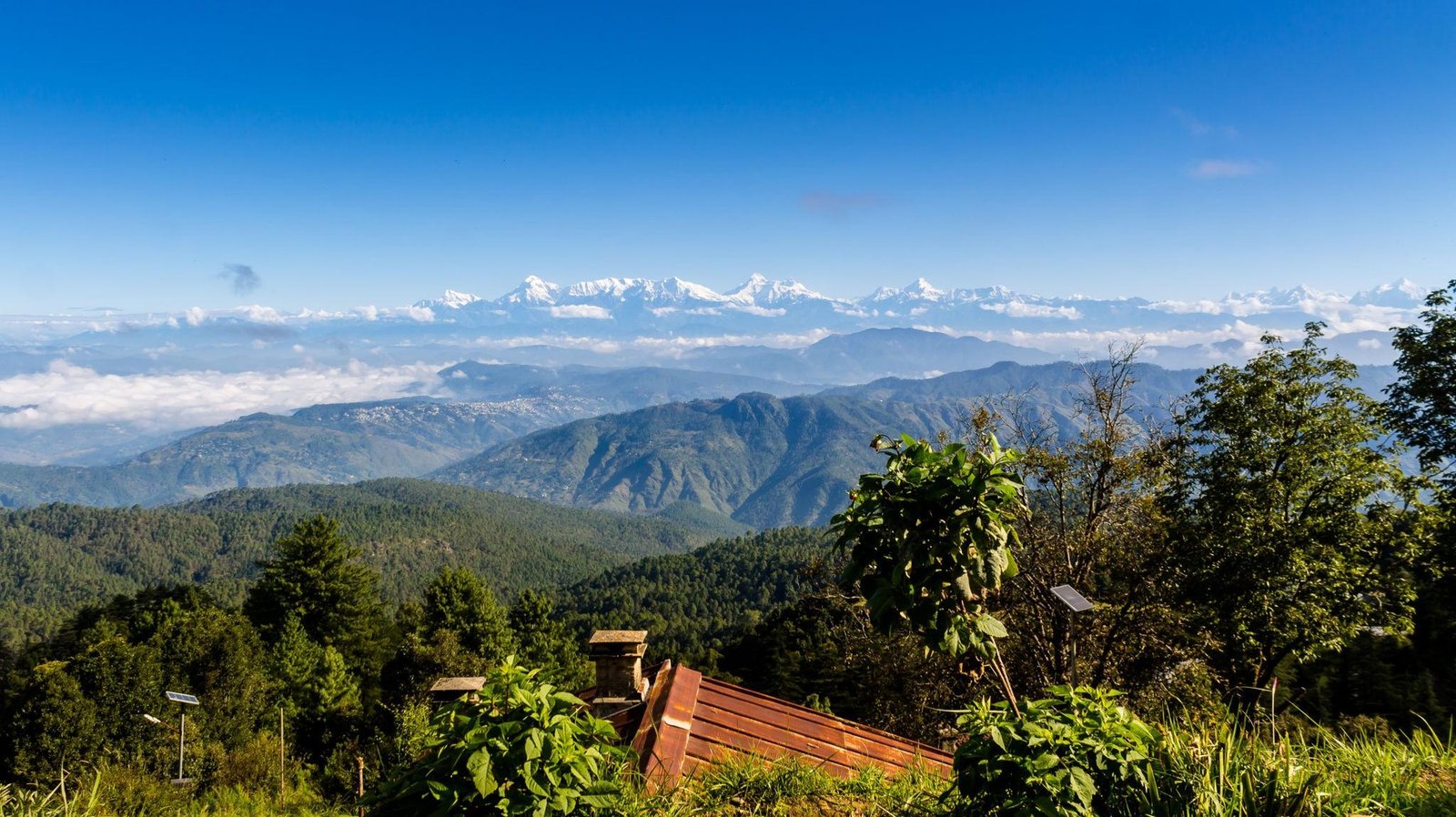 Mukteshwar Travel Guide 2026: Best Places to Visit, Temples, Adventure, Itinerary & Tour Packages