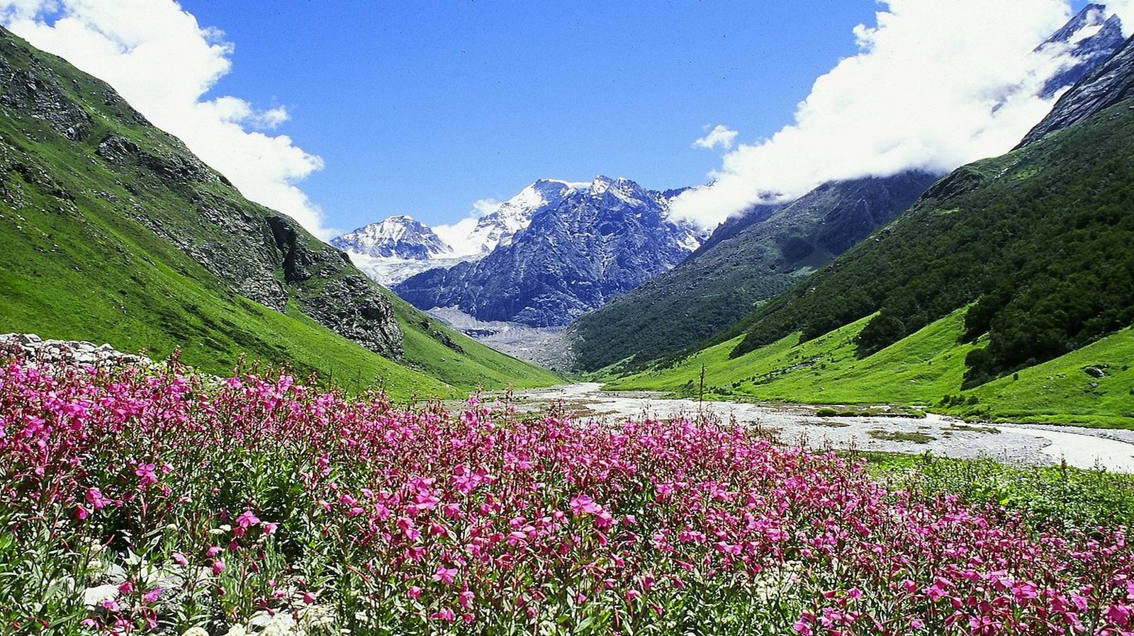 Valley of Flowers Trek 2026: Complete Guide, Best Time, Route, Itinerary & Tour Packages