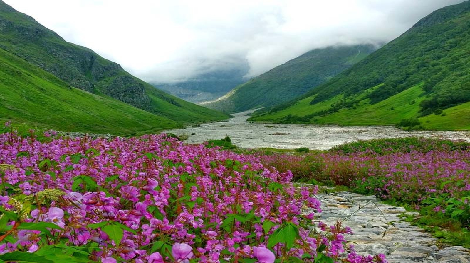 Valley of Flowers Trek 2026: Complete Travel Guide, Trek Route, Best Time, Permit & Tour Packages