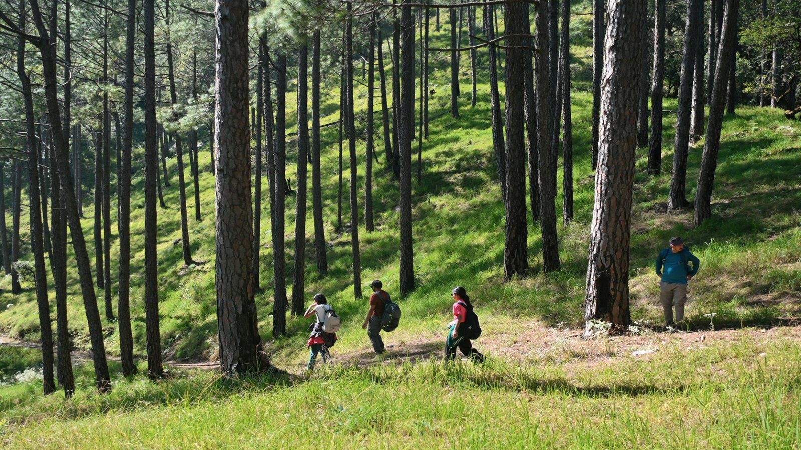 Hidden Places in Uttarakhand 2026 – Offbeat Travel Guide for Untouched Destinations